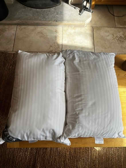 Photo of free 2x Feather pillows - 100% cotton (Littlemore OX4 4) #1