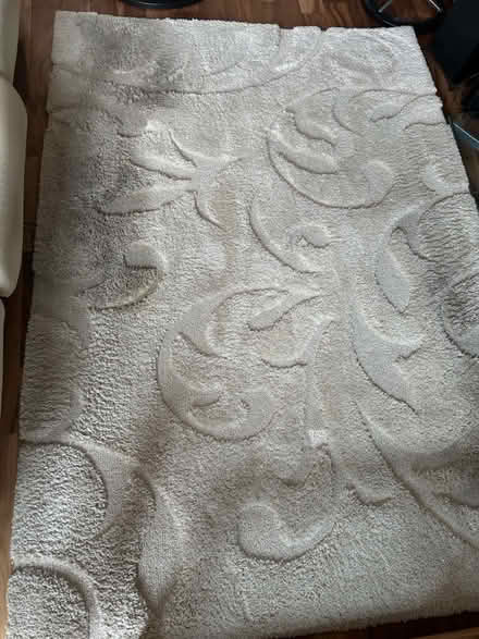 Photo of free White Shag/Pattern Area Rug (Pearl District) #2