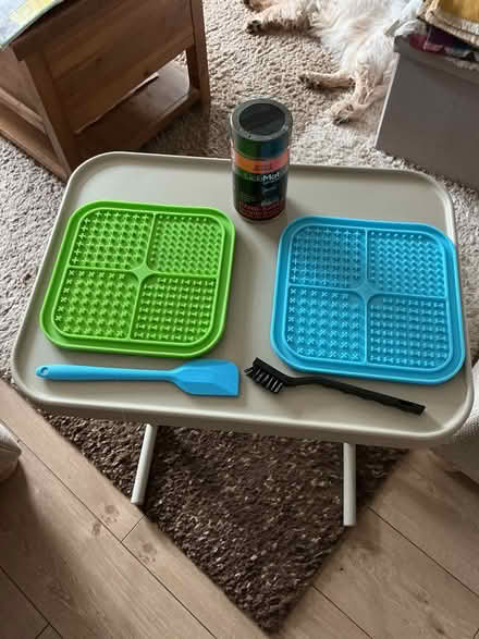 Photo of free Pet lick mats (Spondon DE21) #1