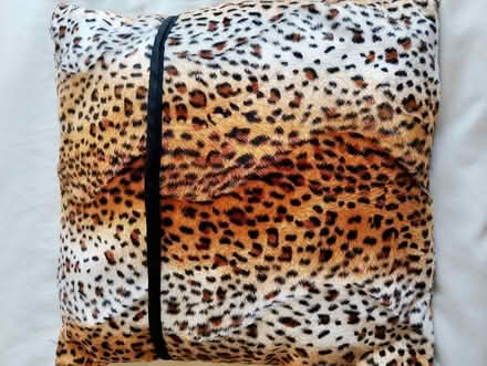 Photo of free New reading cushions for school etc (OX4 Temple Cowley) #2