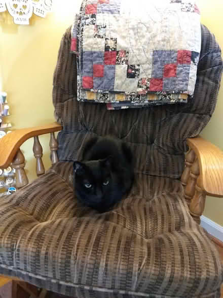Photo of free Wooden (indoor) glider chair (Denbigh) #1