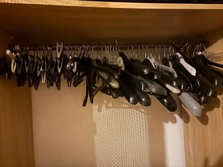 Photo of free Plastic hangers (BN1 (off Dyke Road)) #2