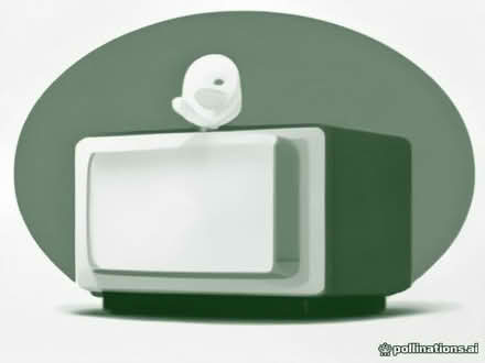 Photo of A tv please Kids broke our one (Woodside SE25) #1