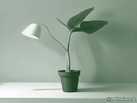 Photo of Tall Plant, Monitir, Bed (Watling Street A5 LU7) #1