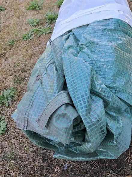 Photo of free Small Collapsable Greenhouse (Southport PR8) #1