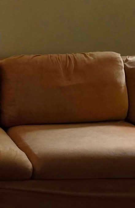 Photo of free Slipcover: sofa and 6 cushions (Forest Glen) #2