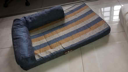 Photo of free Pet Lounger (Queenstown, near MRT) #2