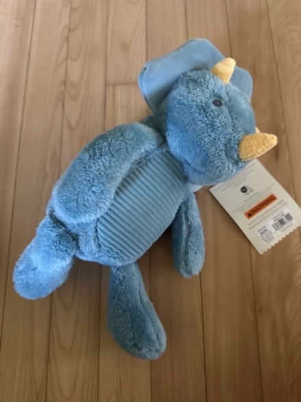Photo of free New stuffed dinosaur (Harvard MA) #1