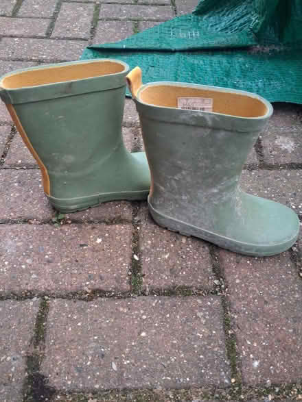 Photo of free Wellys (New addington CR0) #1