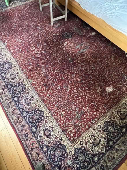 Photo of free Really big rug (Presteigne LD8) #1