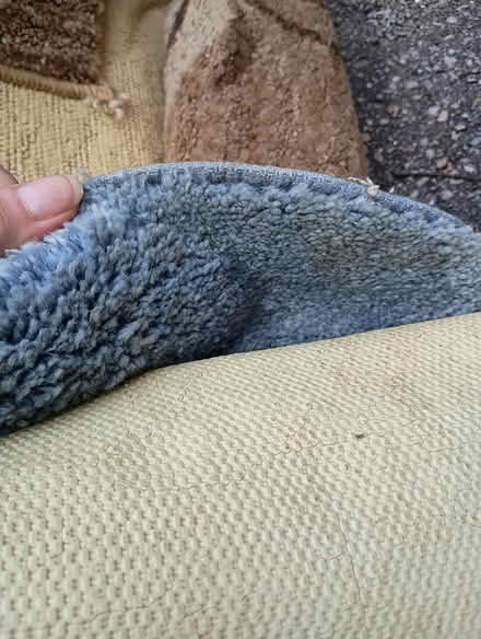 Photo of free old rugs (small) (Yonge/Sheppard) #2