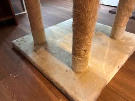 Photo of free Cat tower (Wavendon Gate MK7) #4
