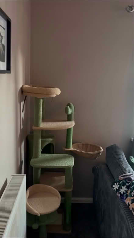 Photo of free Cactus cat tree (B68) #1