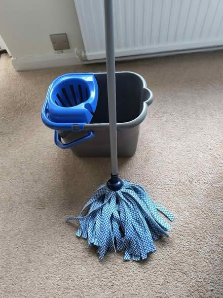 Photo of free Mop and bucket (Sidford EX10) #1