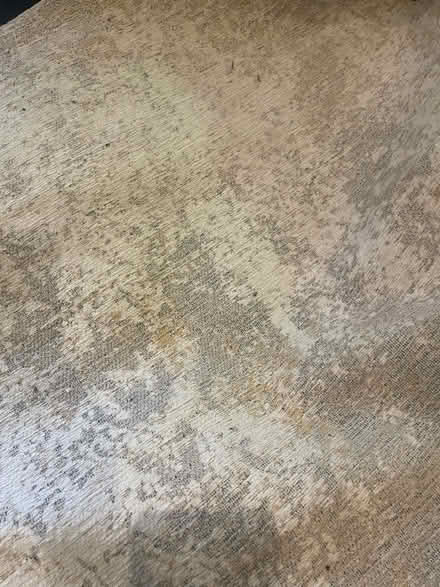Photo of free LARGE Rug (Stirley Hill HD4) #1