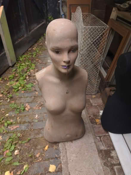 Photo of free Half a woman (Presteigne LD8) #1