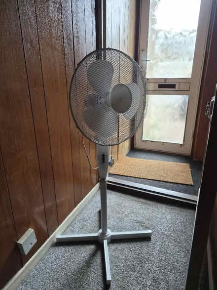 Photo of free Fan (London Colney AL2) #1