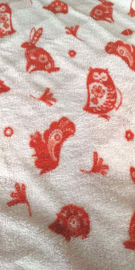 Photo of free King-size duvet cover set (East Dulwich SE22) #2