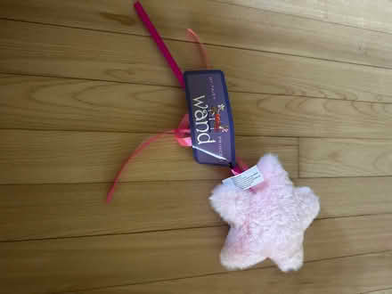 Photo of free Stuffed princess fairy wand (Harvard MA) #1