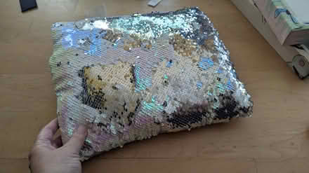 Photo of free Little sequined pillow (North Cambridge) #1