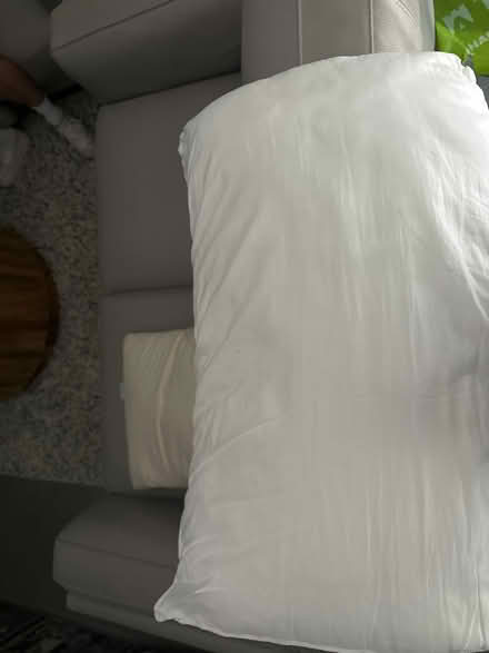 Photo of free Bed pillow (Ilkley LS29) #1
