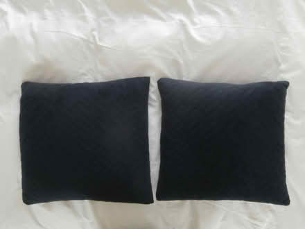 Photo of free Two Navy Blue Cushions (Maxton TD6) #1