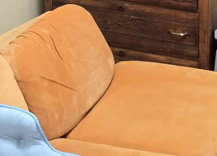 Photo of free Slipcover: sofa and 6 cushions (Forest Glen) #3
