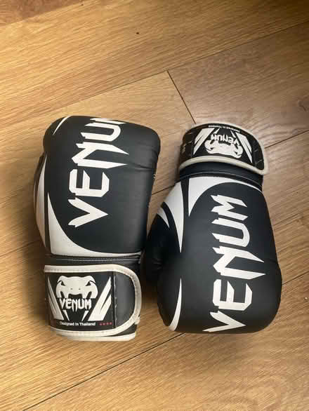 Photo of free 8oz boxing gloves lightly used (L10) #1