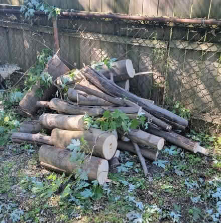 Photo of free Fresh-Cut Firewood, You Load & Haul (Warren) #1