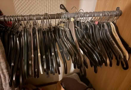 Photo of free Plastic hangers (BN1 (off Dyke Road)) #1