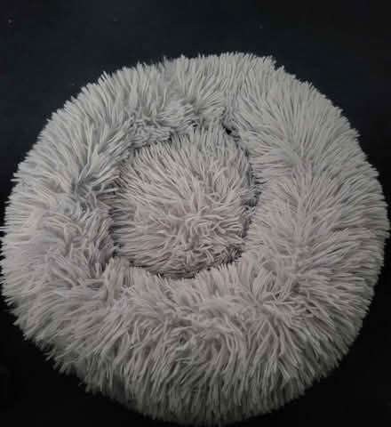 Photo of free Small cat bed (WV11) #1