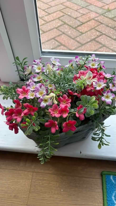 Photo of free Fake plant (Kimberworth S61) #1