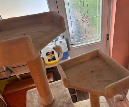 Photo of free Cat tower (Wavendon Gate MK7) #3