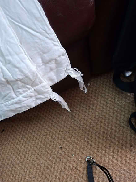 Photo of free Double Duvet by Fogarty (Ulverley Green B92) #2