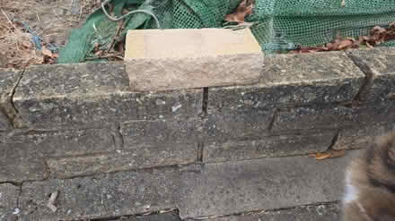 Photo of Bricks (Chessington KT9) #2