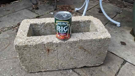 Photo of free Cinder block for use as planter or building. (Caldecott OX14) #2