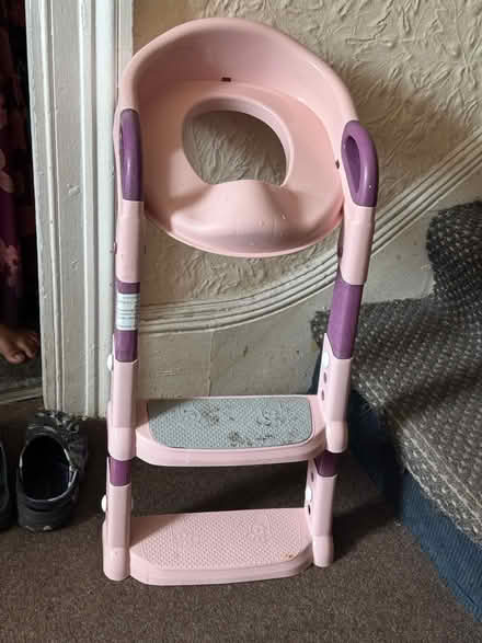 Photo of free Potty training seat (Aldborough road south) #1