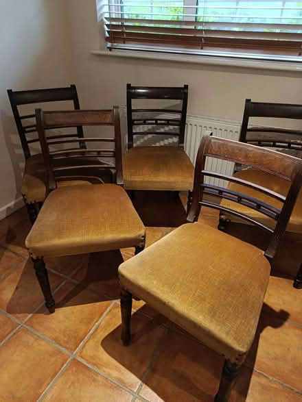 Photo of free 5 dining chairs (Burnham) #1