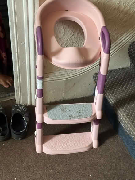 Photo of free Potty training seat (Aldborough road south) #3