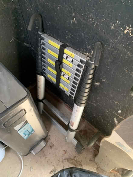 Photo of free Extending Ladder (Maesbrook SY10) #1