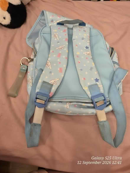 Photo of free Cinnamonroll Bag (spondon DE21) #2