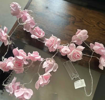 Photo of free Rose fairy lights (Chiswick W4) #1