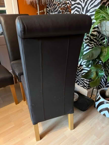 Photo of free Dining chairs (Houghton Regis LU5) #2