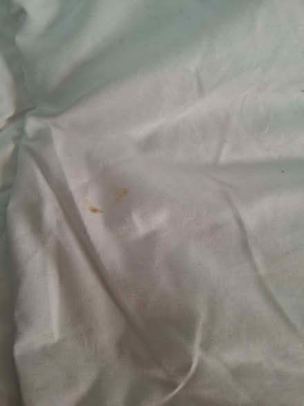 Photo of free Lightweight King Sized Duvet (Ulverley Green B92) #3
