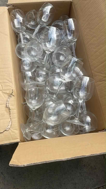 Photo of free Wine glasses (Willington street, Senacre) #1