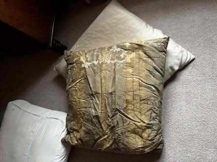 Photo of free Old cushions (West Bergholt CO6) #2