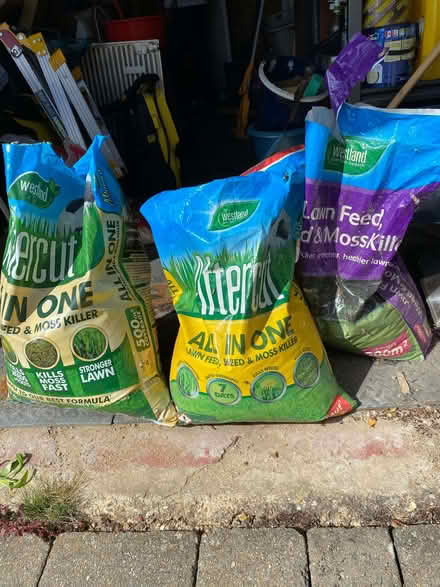 Photo of free Lawn Feed, Weed and Moss Kill (King's College Playing Fields HA4) #1