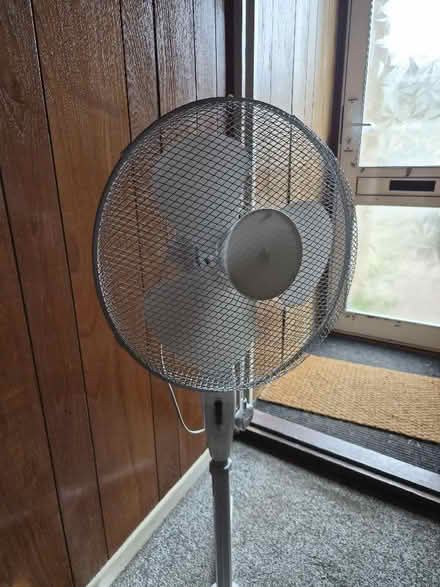 Photo of free Fan (London Colney AL2) #2