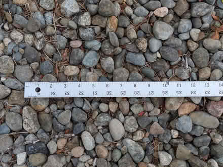 Photo of free 1"-3" river rock (East side of Johnson Point) #1