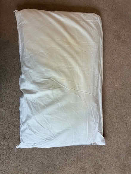 Photo of free Old pillow (Great Boughton CH3) #1